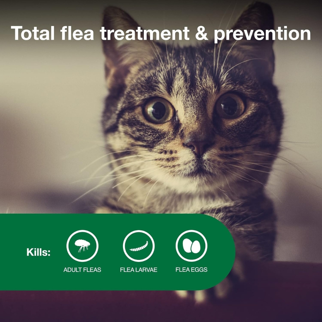 Advantage II Small Cat Flea Treatment & Prevention | 6-Month Supply | For Cats 5-9 lbs - Image 4