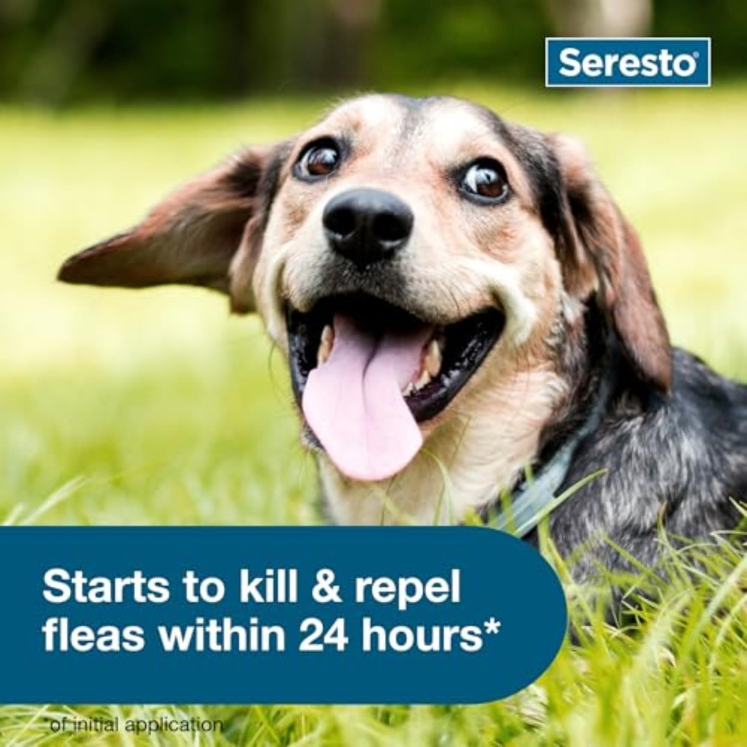 Seresto Small Dog Flea & Tick Collar | 8 Months Protection for Dogs Under 18 lbs - Image 5